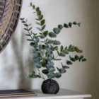 Gallery Direct Eucalyptus In Soil Dusky Green