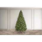 Bosk Eaton Fir - 12Ft Tree With 6500 Warm White LEDs