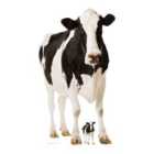 Star Cutouts Cow Height 165 cm Cutout