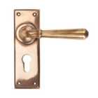 From The Anvil Polished Bronze Newbury Lever Euro Lock Set