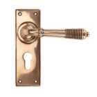 From The Anvil Polished Bronze Reeded Lever Euro Lock Set
