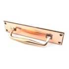 From The Anvil Polished Bronze 300Mm Art Deco Pull Handle On Backplate
