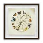Ian Winstanley Butterfly Harmony 40X40 Framed Wood Plaque
