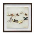 Ian Winstanley Array Of Butterflies 40X40 Framed Wood Plaque