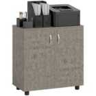 Vinsetto 2-tier Locking Filing Cabinet Office Storage Cabinet, Grey
