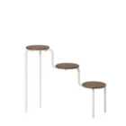 Ng Webster Plant Stand Walnut