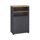 Thessa Cab 2D1Sh Anthroak