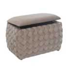 Artemis Home Plumeo Velvet Storage Ottoman - Mole