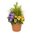 Greenbrokers Artificial Purple & Yellow Pansy Terracotta Patio Planter 60Cm/24In