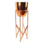 Botanik Metal Copper 55cm Tall Design Premium Plant Pots Planters