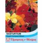 Thompson & Morgan Nasturtium Dwarf Compact Mixed 1 Seed Packet (50 Seeds)
