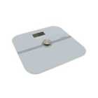 Blue Canyon Kinetic Body Scale - Grey
