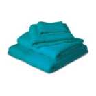 Blue Canyon Premier Collection Hand Towel Turquoise