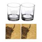 Selbrae House Set Of 2 Glass Tumblers 340Ml & Oak Coasters - Highland Cow