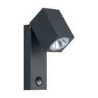 EGLO SAKEDA Anthracite Outdoor Wall Light
