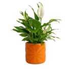 Beau & Elliot Carnaby Porcelain Embossed Pot Small Orange