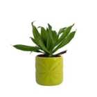 Beau & Elliot Carnaby Porcelain Embossed Pot Small Lime