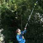 Garden Gear 12V Cordless Telescopic Chainsaw