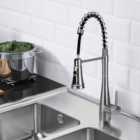 Garden Sanctuary Pre-rinse Pull-down Swivel Kitchen Faucet