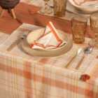 Rozi Plaid Placemats, Set of 4