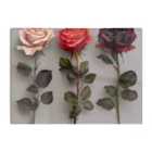 Warren Reed - Designer 3 Red And Pink Roses Chopping Board