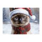 Warren Reed - Designer Christmas Burmese Glass Chopping Board