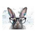 Warren Reed - Designer Rabbit With Glasses Splashart Glass Chopping Board