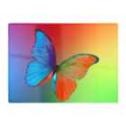 Warren Reed - Designer Vibrant Butterfly Glass Chopping Board