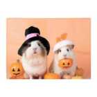 Warren Reed - Designer Trick Or Treating Guinea Pigs Chopping Board