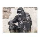 Warren Reed - Designer Urban Gorilla: Banksy Inspired Street Art Chopping Board