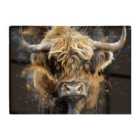 Warren Reed - Designer Bronze Splashart Highland Cow Chopping Board
