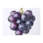Warren Reed - Designer Glistening Grapes Cluster Chopping Board