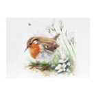 Warren Reed - Designer Robin And Daisies Watercolour Glass Chopping Board