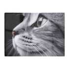 Warren Reed - Designer Silver Tabby Cat Face Chopping Board