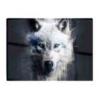 Warren Reed - Designer White Wolf Face Splashart Dark Backgrouns Glass Chopping Board