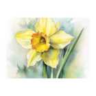 Warren Reed - Designer Watercolour Daffodil Chopping Board