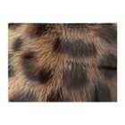Warren Reed - Designer Tabby Fur Print Chopping Board