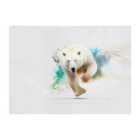 Warren Reed - Designer Charging Polar Bear Glass Chopping Board