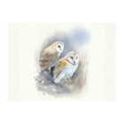 Warren Reed - Designer Barn Ano Owls Watercolour Glass Chopping Board