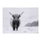 Warren Reed - Designer Lone Highland Cow Glass Chopping Board