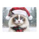 Warren Reed - Designer Christmas Ragdoll Glass Chopping Board