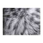 Warren Reed - Designer Silver Tabby Cat Print Chopping Board