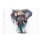 Warren Reed - Designer Elephant Splashart Glass Chopping Board