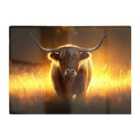 Warren Reed - Designer Highland Cow Sunset Glass Chopping Board