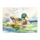 Warren Reed - Designer Splashing Mallard Watercolour Glass Chopping Board