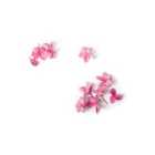 Warren Reed - Designer Pink Frangipani Flowers Glass Chopping Board