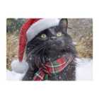 Warren Reed - Designer Snowy Christmas Maine Coon Glass Chopping Board