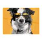 Warren Reed - Designer Cool Collie With Attitude Chopping Board