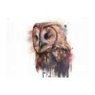 Warren Reed - Designer Tawny Owl Face Splashart Light Background Glass Chopping Board