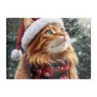 Warren Reed - Designer Snowy Christmas Ginger Cat Glass Chopping Board